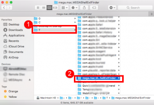 download the new for mac MEGAsync 4.9.6